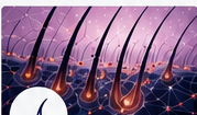 Hair follicle research visualization